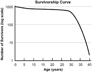 There is a line graph titled Survivorship Curve.