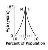 Graph showing percentage of population on the x axis and age in years on the y axis.