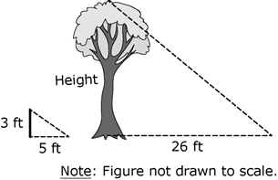 The figure shows a vertical yardstick and a tree several feet apart.