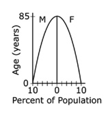 Graph showing percentage of population on the x axis and age in years on the y axis.