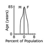 Graph showing percentage of population on the x axis and age in years on the y axis.