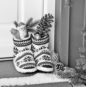 The image is a photograph of boots on a porch in front of a door.