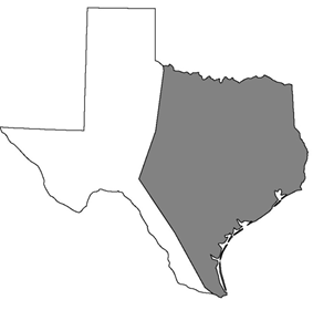 Picture of texas with eastern portion filled in black.