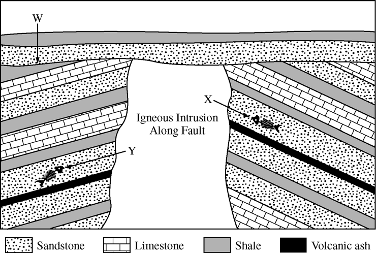 diagram of a stratigraphic section of rock.