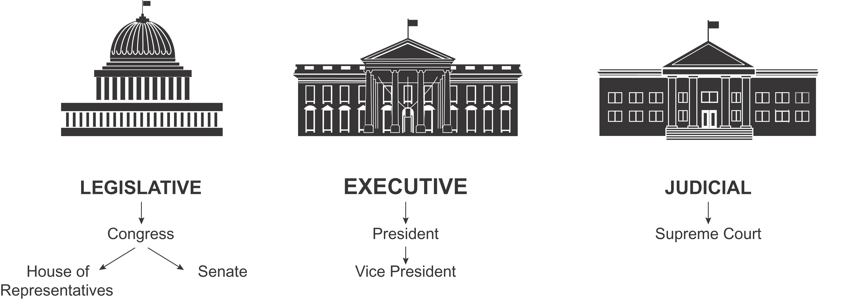 3 branches of government